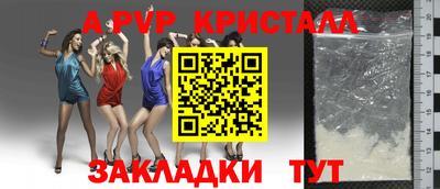 шишки Жуковский