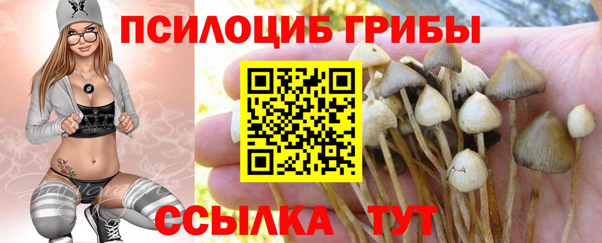 Кушва  Галлюциногенные грибы ЛСД  Вход с VPN 